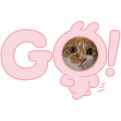 asako_20230425222421