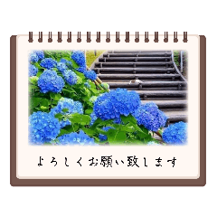 flower-World