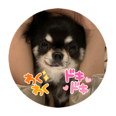 kana_20230426114538