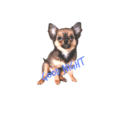 moo_20230426140935