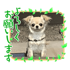 kawashiman_20230426164603