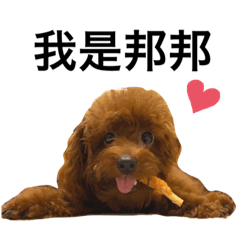 邦邦葛格