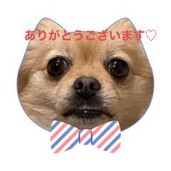 sayuri_20230426151118