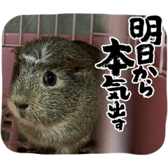 yuka_20230426191817