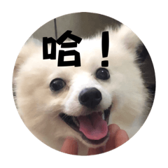 笨狗勾與壞掉的玩具