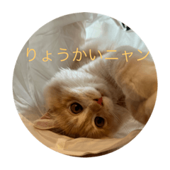 no_20230426211923