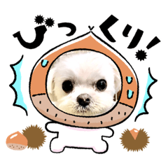 sayuri_20230426213603