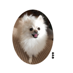 ririka_20230427032546