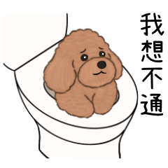 Red Poodle Coobi 8: Useful meme stickers