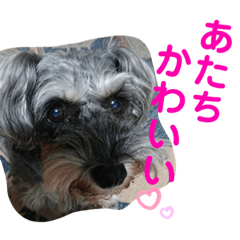 misa_20230427114616