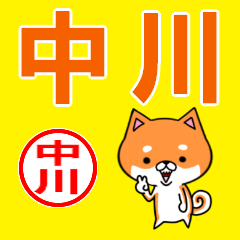 ★中川(なかがわ)な柴犬のシバッキー