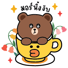 Brown Bear Cool-Cool V.9