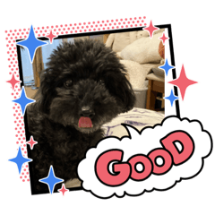 SAYURI_20230427153930