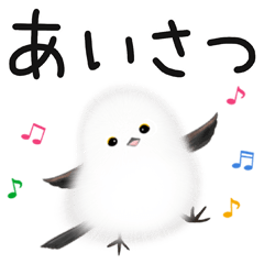 Cute little birds "Shimaenaga" 5