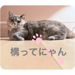 Omochi_20230427184114