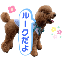 shiho_20230427210257