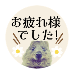 omo_20230427205902