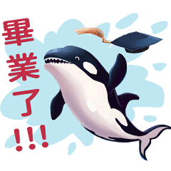 Orca life 1
