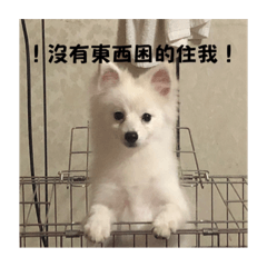 笨狗勾與新的朋友