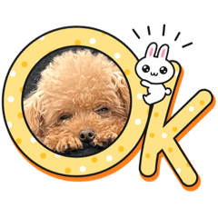 PECO_20230428143651