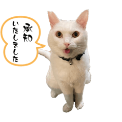 omochi_20230428171112