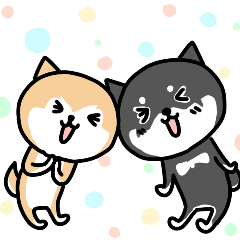 Riku and Momo is a Shiba Inu