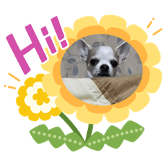 奶油～生活點滴❤️