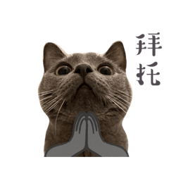 咘嚕的blue日記4