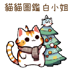 Cat Guide Miss Bai59