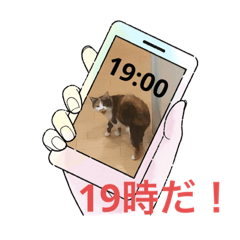 choco_20230428183741