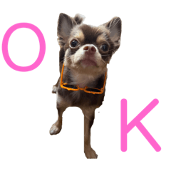 louis26_20230429120213