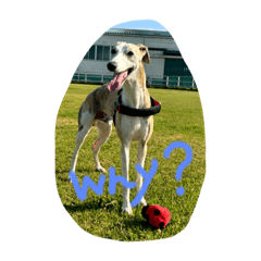 YUKARI_20230428143117