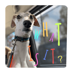 YUKARI_20230429094847