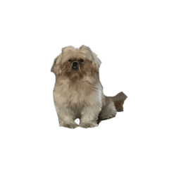hana_20230429125751