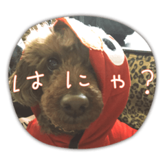 Mizuki_20230429014334