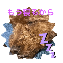 MANO_20230429102404