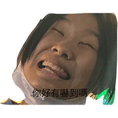 吳季蓁醜圖