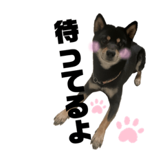 kaede_20230429153759