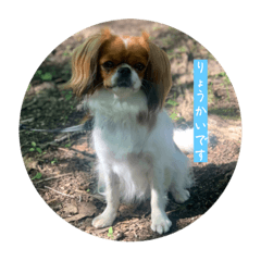 hana_20230429180054