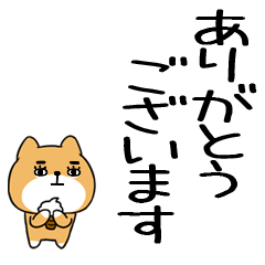 keigokeigoinuinu28
