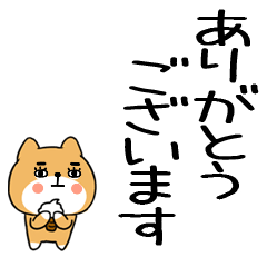 keigokeigoinuinu25