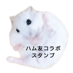 Hamster TORORO Friends Sticker