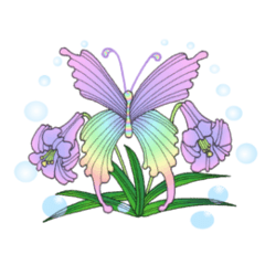 Flower and butterfly4