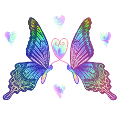 蝶と花3