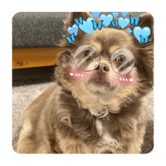 suzu_20230429160036
