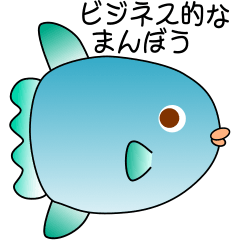 nobobi business sunfish
