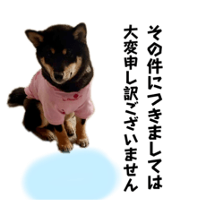 Hana_20230429200920