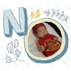 msk08121122