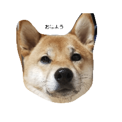 hana_20230429203047