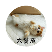 KiNu_20230429204326
